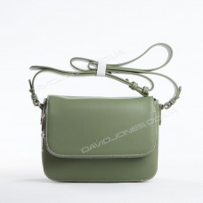 Клатч CM5619T green Клатч CM5619T green