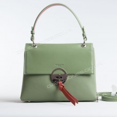 Клатч 6213-2T green Клатч 6213-2T green
