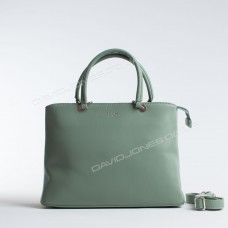 Жіноча сумка CM5704 green Жіноча сумка CM5704 green