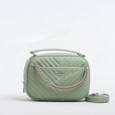 Клатч 6232-2 pale green Клатч 6232-2 pale green