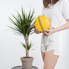 Клатч CM5703T yellow Клатч CM5703T yellow