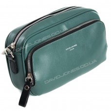 Клатч CM5849 dark green Клатч CM5849 dark green